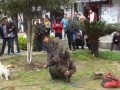 猴子友善与人共处的秘诀（猴子不乱打人的原因及如何培养友善的猴子）