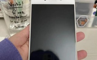 R9s屏幕的画质与表现如何？（探究R9s屏幕的特点和优势）