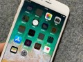 iPhone8相机的出色表现（探索iPhone8相机的惊艳特点及创新功能）