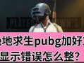解决电脑吃鸡游戏显示错误的方法（排除电脑吃鸡游戏显示错误的常见问题）