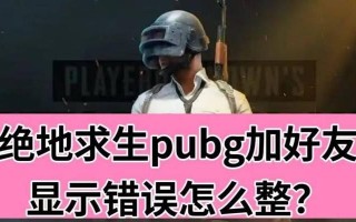 解决电脑吃鸡游戏显示错误的方法（排除电脑吃鸡游戏显示错误的常见问题）