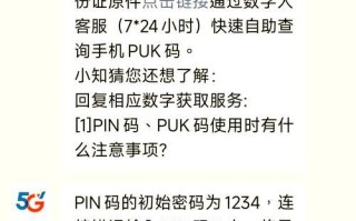 国产电脑PIN错误锁定（国产电脑PIN错误锁定机制的设计与优化）