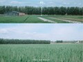 探究尼康D610宽容度的优势与应用（解密D610的高动态范围，让您的摄影更出色）