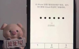 苹果ID密码修改教程（详解苹果ID密码修改步骤及注意事项）