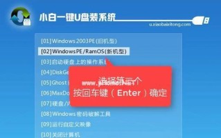 用PE系统安装苹果系统的完整教程（通过PE系统轻松安装苹果系统，解决苹果硬件限制问题）
