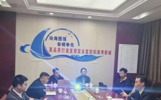 以美刀项目（数字化货币与区块链技术的突破性应用）