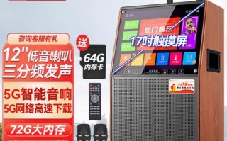 金正低音炮（突破传统音响体验的创新之作）