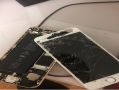 手机屏幕碎了怎么办？（手机屏幕更换指南）
