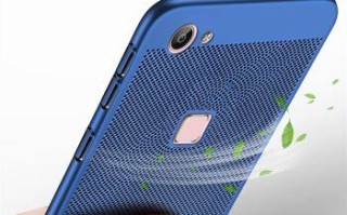 辨别vivoX6的方法与特点（从外观、功能和性能等多个角度来识别vivoX6手机）