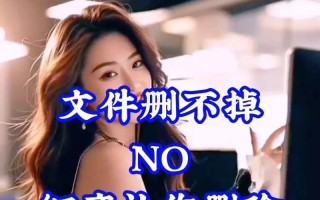 电脑删除文件错误的解决办法（解决电脑删除文件错误的有效方法及技巧）