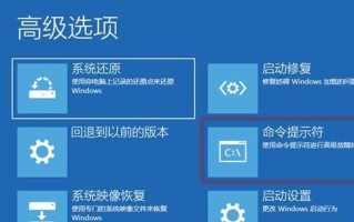 电脑命令输入错误的撤销方法（解决电脑命令错误的有效措施和步骤）