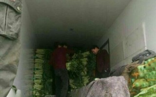 一亩田经营的可行性与挑战（探索小规模农业经营的机会与风险）