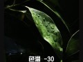 手机修图，打造个性美图（利用手机修图软件，轻松编辑照片，展现独特魅力）