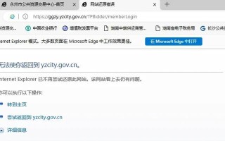 解决电脑网页访问错误的有效方法（应对常见网页访问错误，让你的上网体验更畅快）