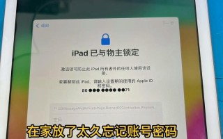 iPad连接电脑显示错误的解决方法（解决iPad连接电脑时出现的显示错误，享受无缝连接体验）