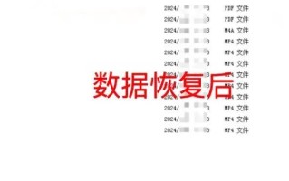 数据恢复病毒（保护数据安全，预防数据恢复病毒入侵）