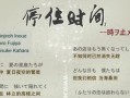 P8双4G电信手机细致评测（性能卓越，双4G网络畅通无阻）