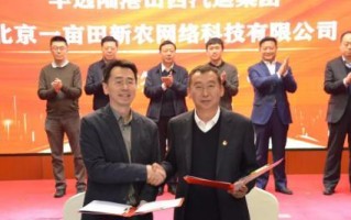 以一亩田经营，挣钱容易吗？（探寻一亩田经营的利与弊）