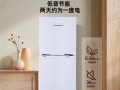 小型迷你冰箱质量究竟如何？（探究小型迷你冰箱的性能、耐用性和效能）