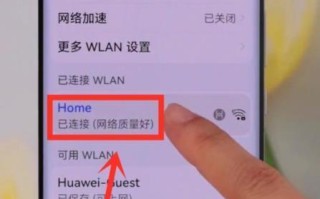大白菜wifi破解密码教程（轻松获取大白菜wifi密码的终极指南）
