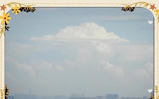 尼康9700（探索尼康9700的出色功能和性能，开启摄影新时代）