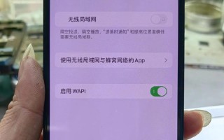 电脑连接iPhone共享WiFi密码错误解决方法（如何正确设置电脑连接iPhone共享WiFi密码）