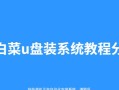 大白菜v5.0u盘装系统教程（轻松安装大白菜v5.0系统，提升电脑性能，享受全新体验）