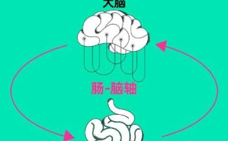 放松大脑的艺术（以简单方式舒缓压力、促进专注、增强记忆力与创造力）