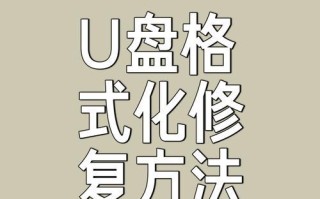 如何正确使用新购买的电脑U盘（新U盘使用教程及注意事项）