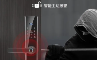 智能门锁安全性能评估（提升居家安全性）