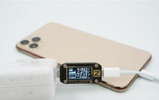 苹果充电器BS质量如何？（探究苹果充电器BS的性能、安全性和可靠性）