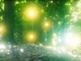以森林创造模式飞行按键指令（探索Minecraft中独特的飞行按键指令功能，打造属于你的梦幻森林）