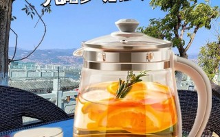 九阳养生壶的神奇功效（一壶养生，享受健康生活）