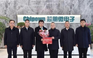 无锡芯朋微电子（以芯片设计和制造为核心，推动中国半导体行业进步）