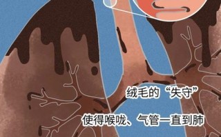 二手烟的危害与影响（吸一点二手烟，你知道会发生什么吗？）