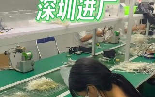 龙岗福昌电子（探寻龙岗福昌电子的行业领先地位和发展历程）