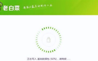 大白菜装机系统教程（详细步骤指南帮你轻松完成大白菜装机系统的安装）