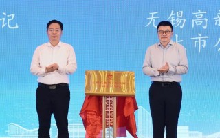无锡芯朋微电子（关键时刻，专注技术领域，无锡芯朋微电子引领行业变革）