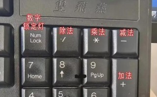 探索新手电脑键盘按键的奥秘（让你成为按键高手的秘籍！）