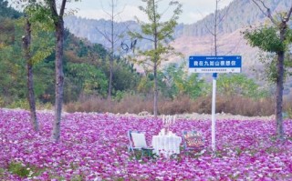高清丽镜屏（高清丽镜屏）