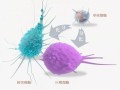 电脑中的病毒（揭秘病毒的危害和如何保护您的电脑）