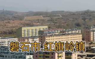探索吉林市领域手机的发展现状及未来趋势（以吉林市为例，手机产业如何推动经济发展？）