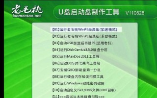 使用PE系统制作教程（实用教程，轻松制作，畅享学习乐趣）
