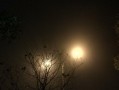 Note4夜拍效果揭秘（探索Note4夜拍的惊艳之处）