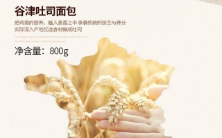 谷津（以谷津，享受智能科技带来的便利与舒适）