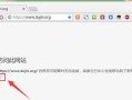 电脑应用总提示网络错误？解决方法揭秘！（网络连接异常是应用开启失败的幕后原因）