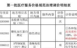 张云帆（勇往直前，追寻梦想的脚步从未停歇）