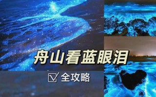 GF610M显卡详细测评（性能稳定，多媒体处理得心应手）