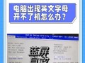 电脑开机突然停止（探索电脑开机停止的错误类型及解决方法）