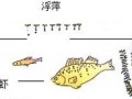 风云链生态系统（探索区块链生态系统的新篇章，以风云链为例）